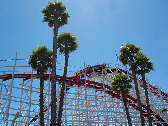 Palm trees also rule.